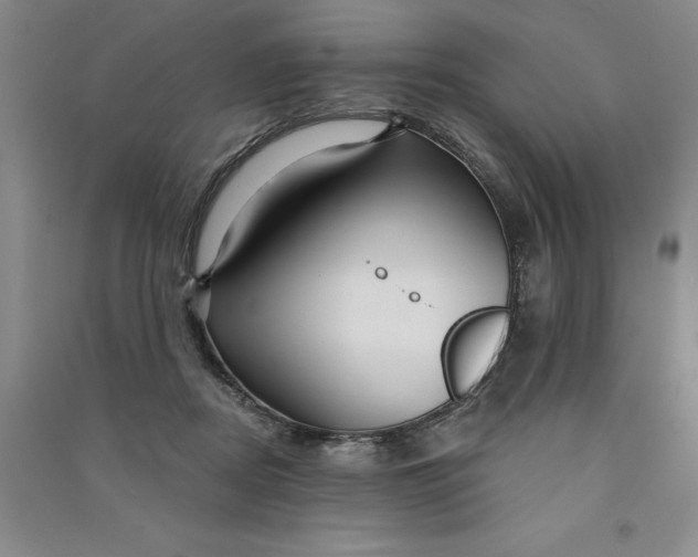 X0000090870362200708171630