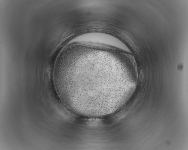 X0000090870363200708171630