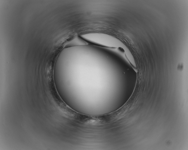 X0000090870364200708171630