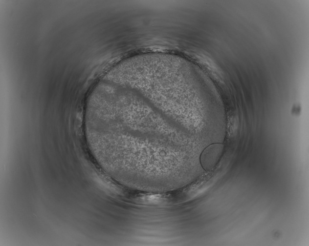 X0000090870365200708171630