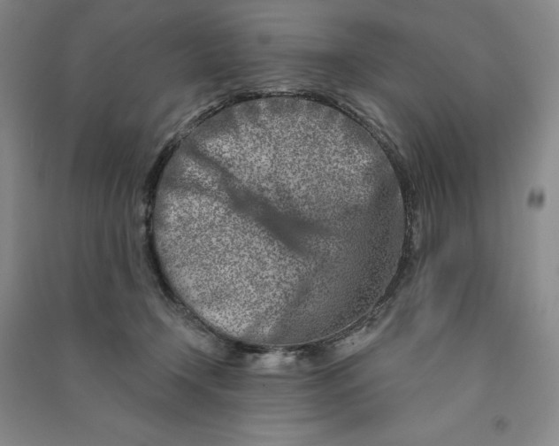 X0000090870366200708171630