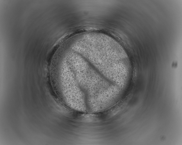 X0000090870367200708171630