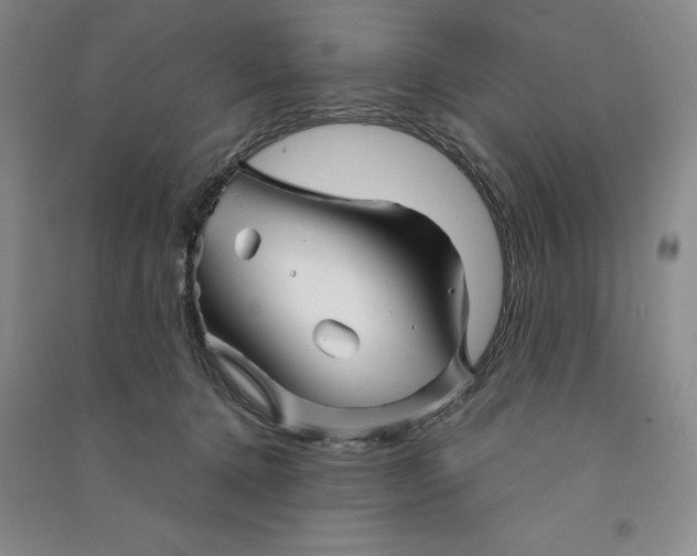 X0000090870368200708171630