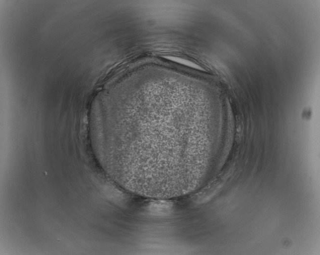 X0000090870369200708171630