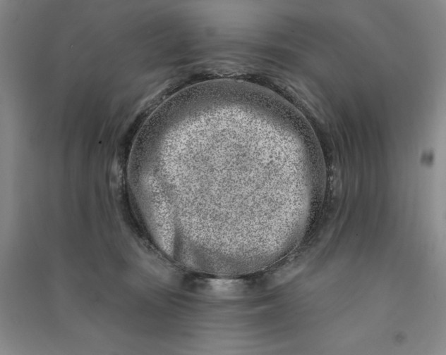 X0000090870371200708171630