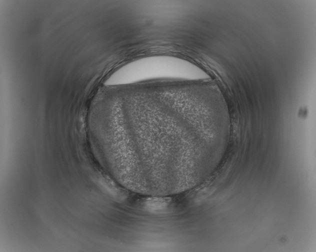 X0000090870373200708171630