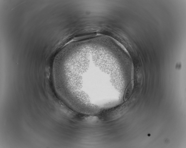 X0000090870374200708171630