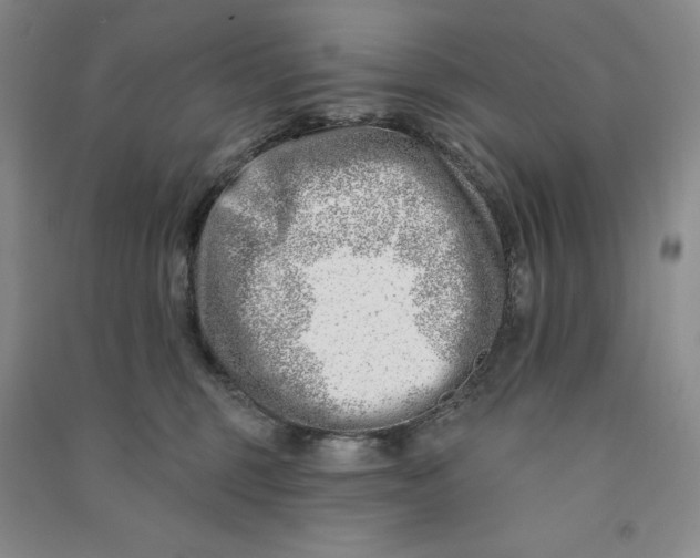 X0000090870375200708171630