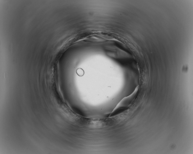 X0000090870376200708171630