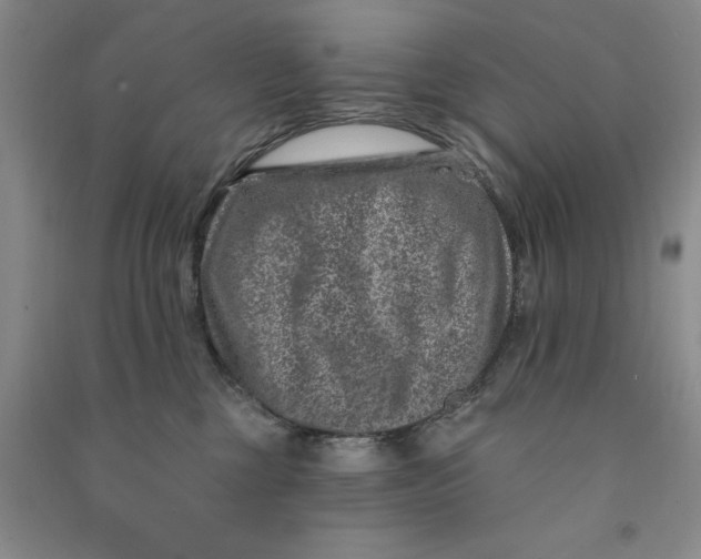 X0000090870377200708171630