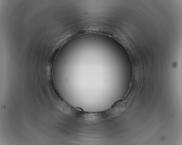 X0000090870378200708171630