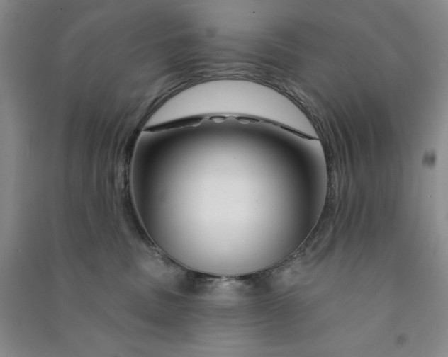 X0000090870379200708171630