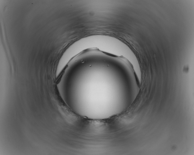 X0000090870380200708171630