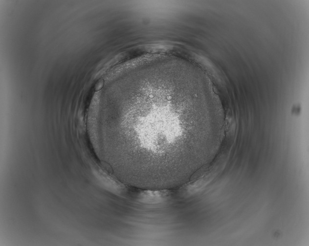 X0000090870381200708171630