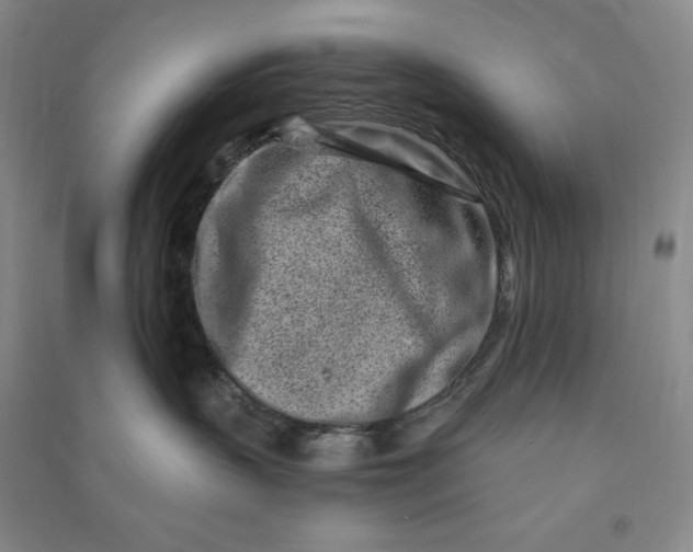 X0000090870383200708171630