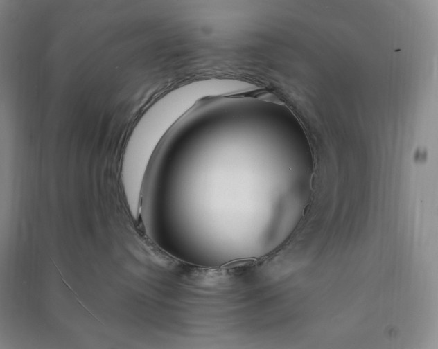 X0000090870384200708171630