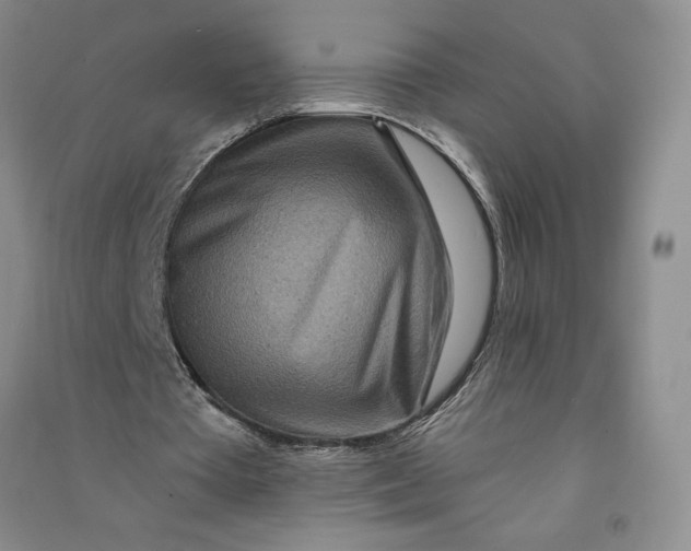 X0000090870385200708171629