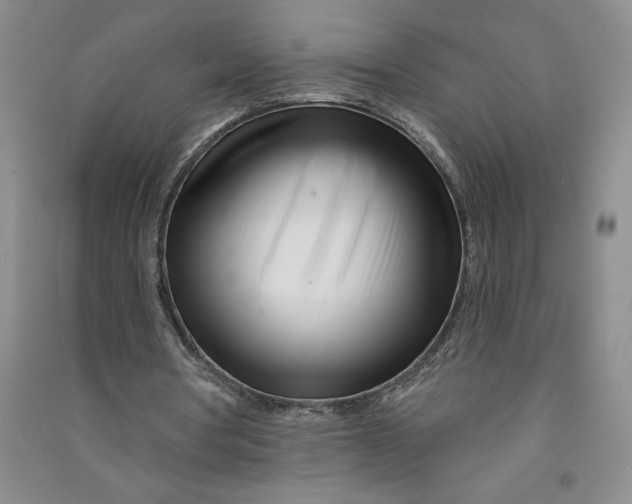 X0000090870386200708171629