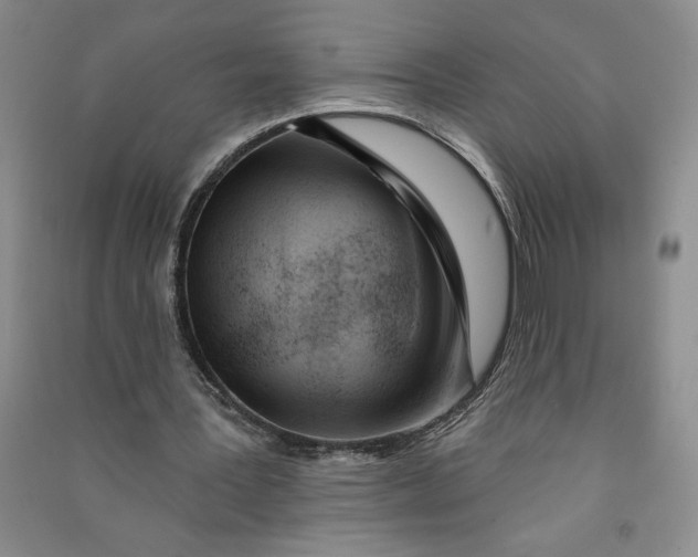 X0000090870387200708171629