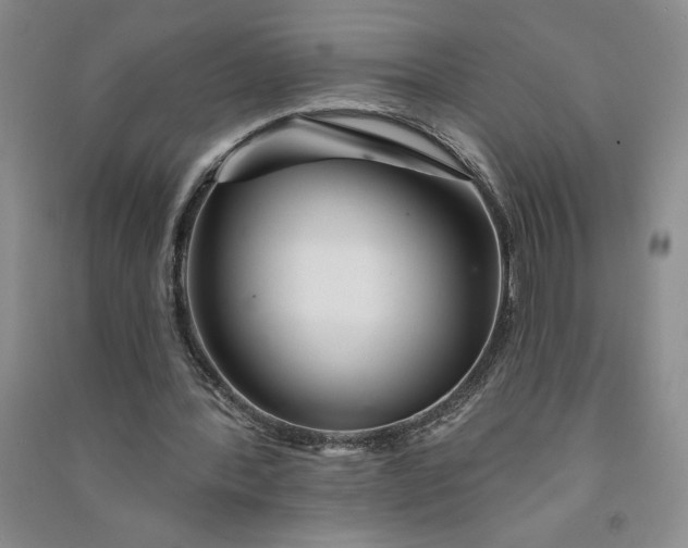 X0000090870388200708171629