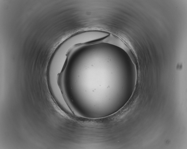 X0000090870389200708171629