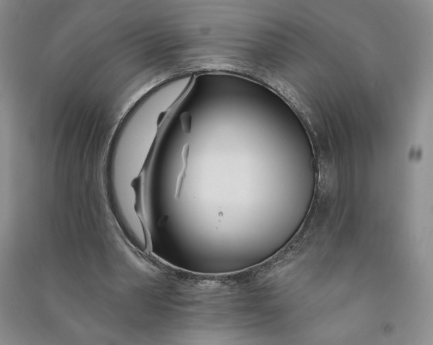 X0000090870390200708171629