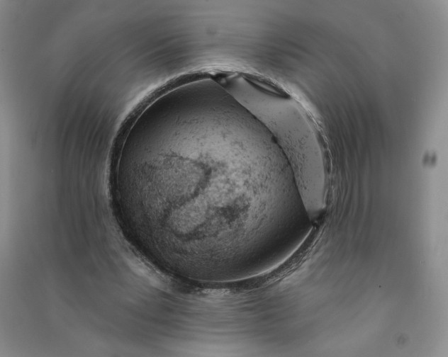 X0000090870391200708171629