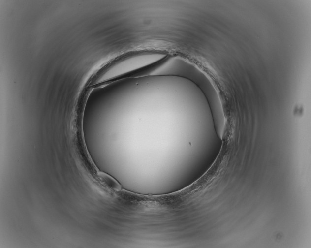 X0000090870392200708171629