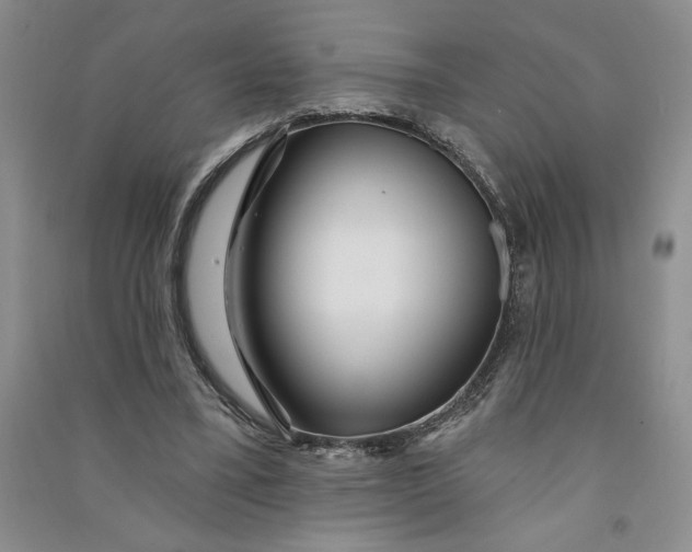 X0000090870395200708171629