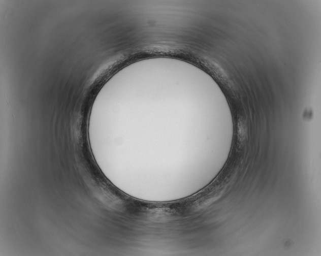 X0000090870396200708171629