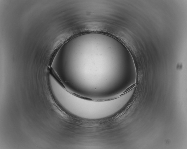 X0000090870397200708171629