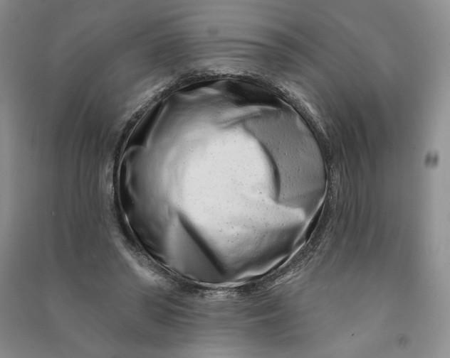 X0000090870398200708171629