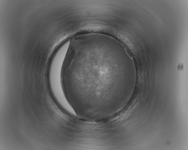 X0000090870399200708171629