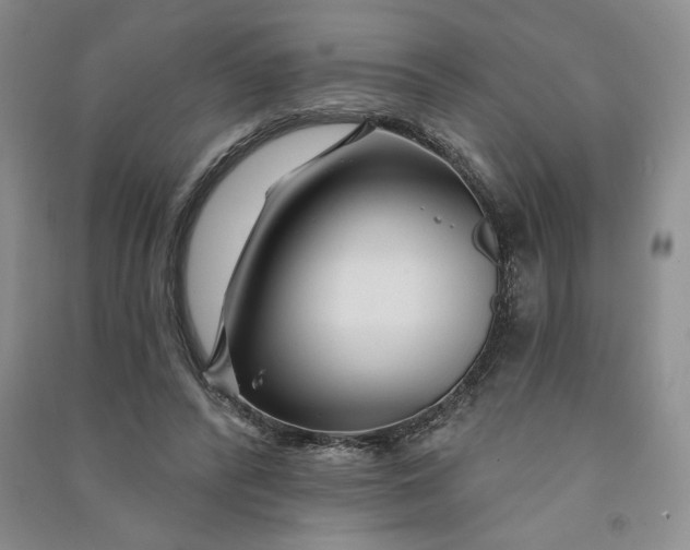 X0000090870400200708171629