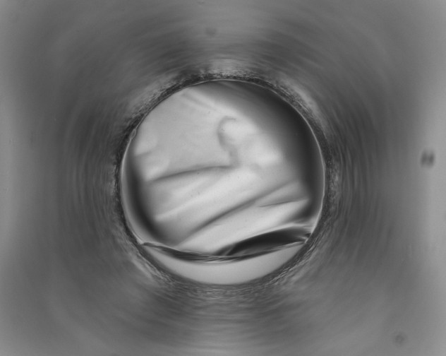 X0000090870401200708171629