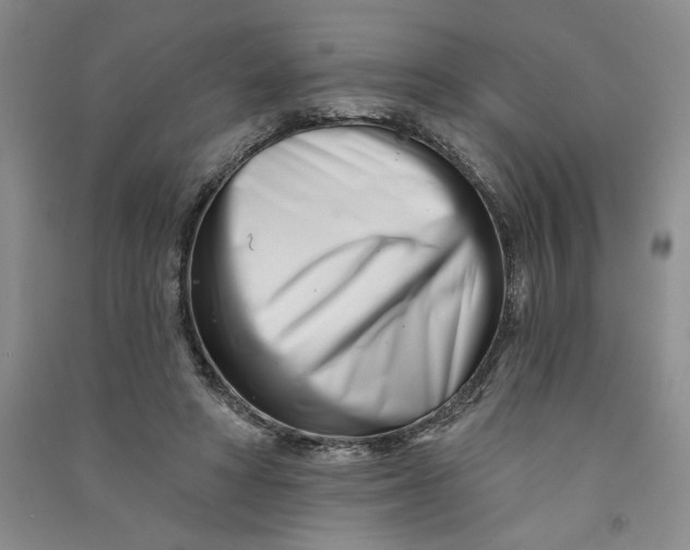 X0000090870402200708171629