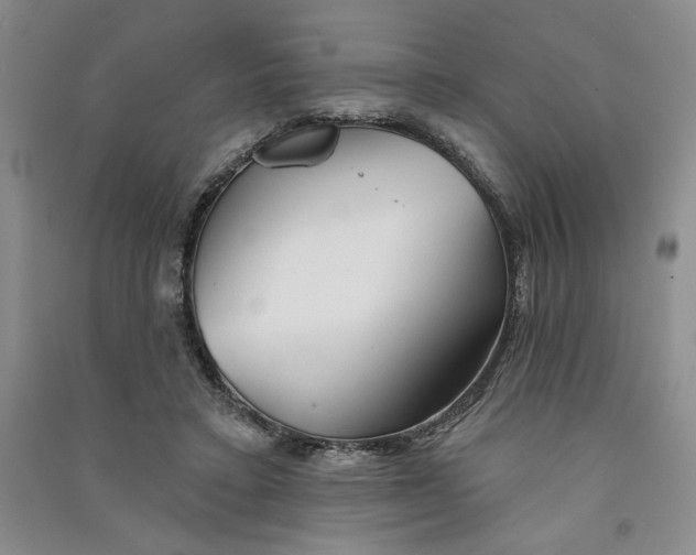 X0000090870403200708171629