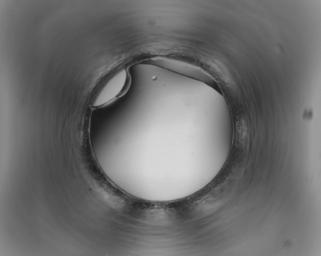 X0000090870404200708171629