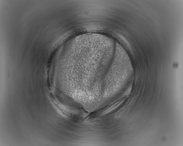 X0000090870405200708171629