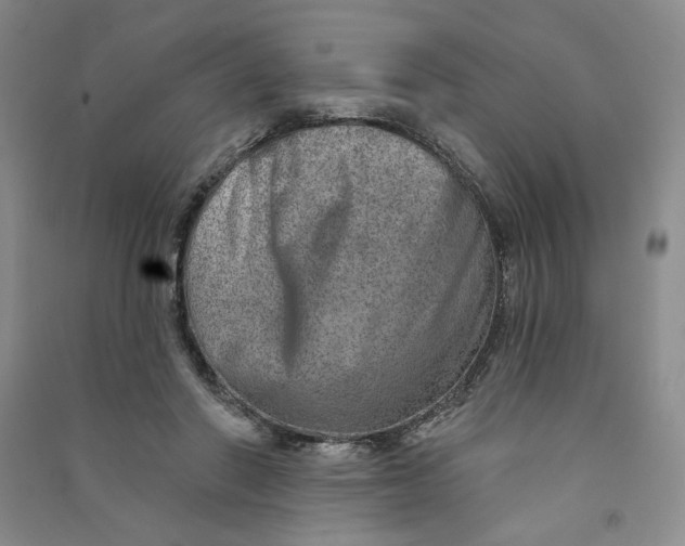 X0000090870406200708171629