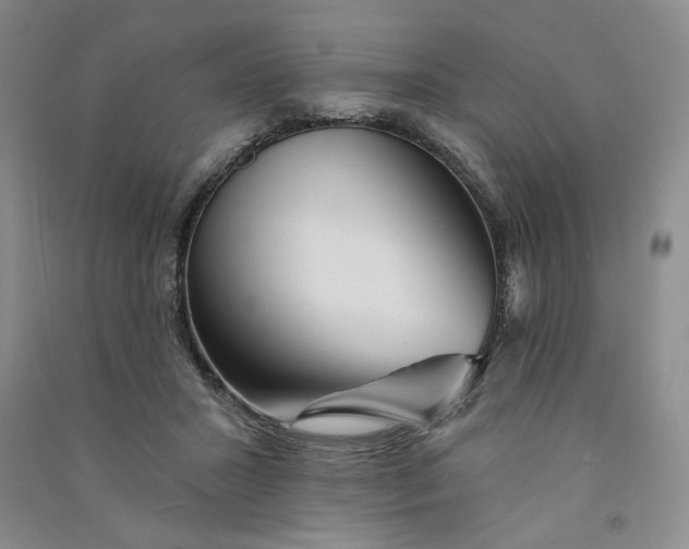 X0000090870407200708171629