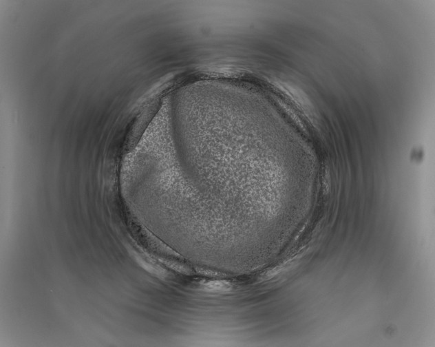 X0000090870409200708171629