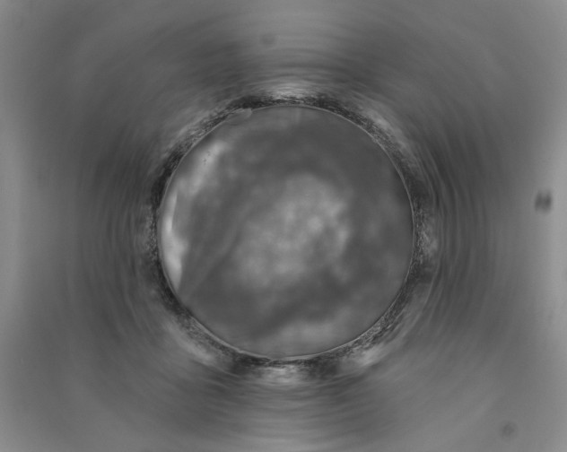 X0000090870411200708171629