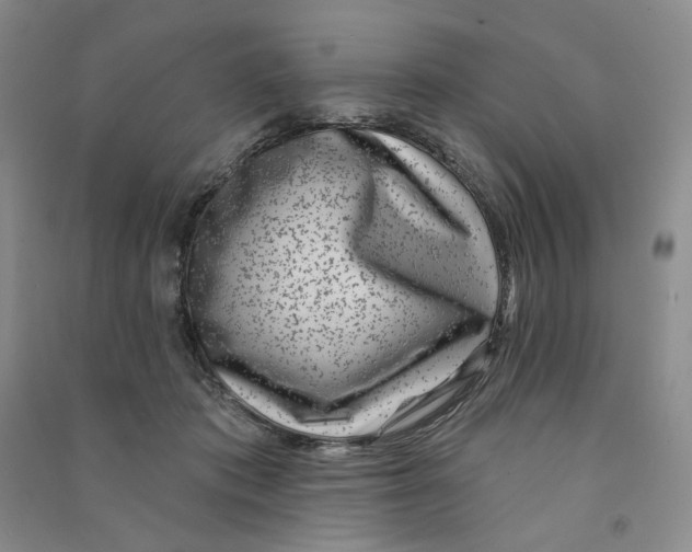 X0000090870413200708171629