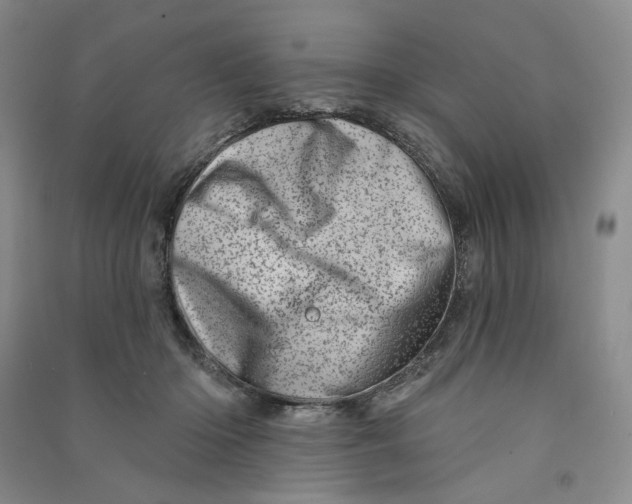 X0000090870414200708171629