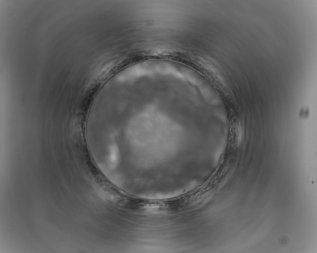 X0000090870415200708171629