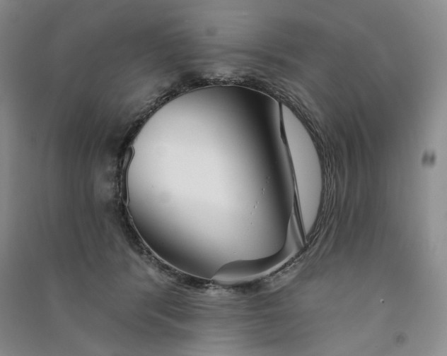 X0000090870416200708171629