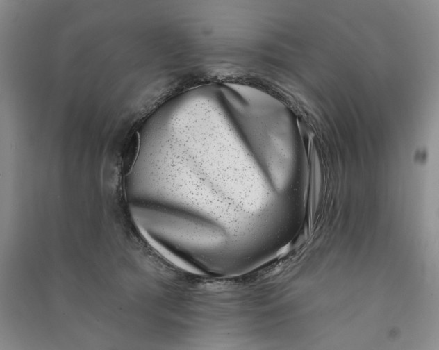 X0000090870417200708171629