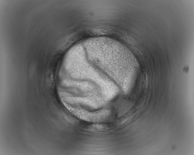 X0000090870418200708171629