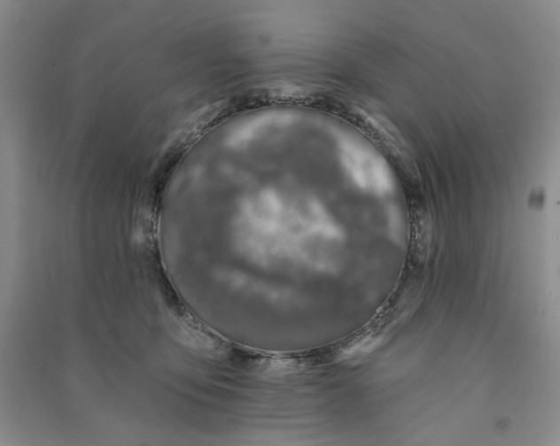 X0000090870419200708171629